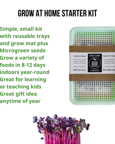 Microgreens Starter Kit – Grow at Home