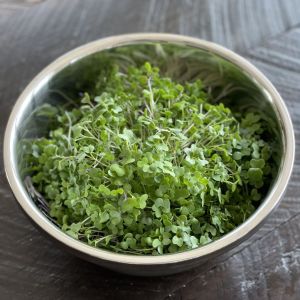 Craft Salad Micro Mix
