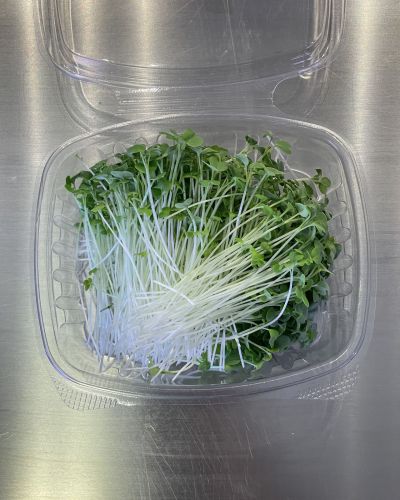 Mustard Microgreens | Spicy Oriental