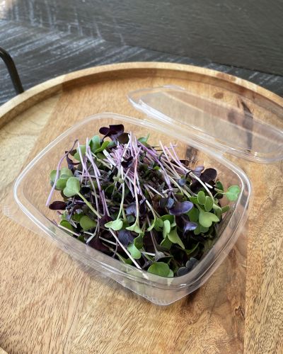 Raddage Microgreen Mix