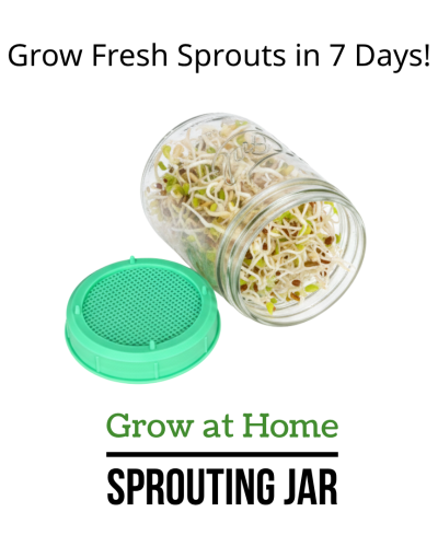 Sprouting Jar Kit Bundle – Grow at Home