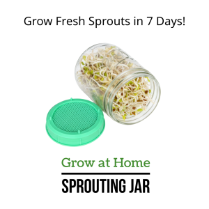 Sprouting Jar Kit Bundle – Grow at Home