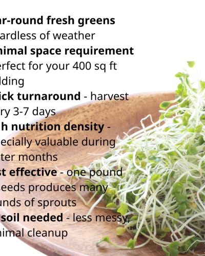 Sprouting Jar Kit Bundle – Grow at Home